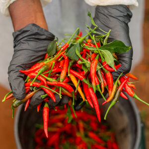 Piments forts et doux