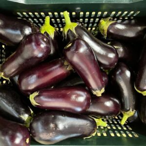 Aubergines