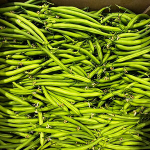 Haricots verts